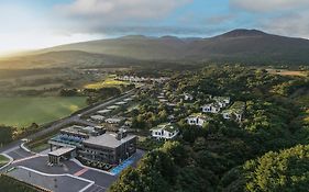 Amber Pure Hill Hotels & Resorts Jeju