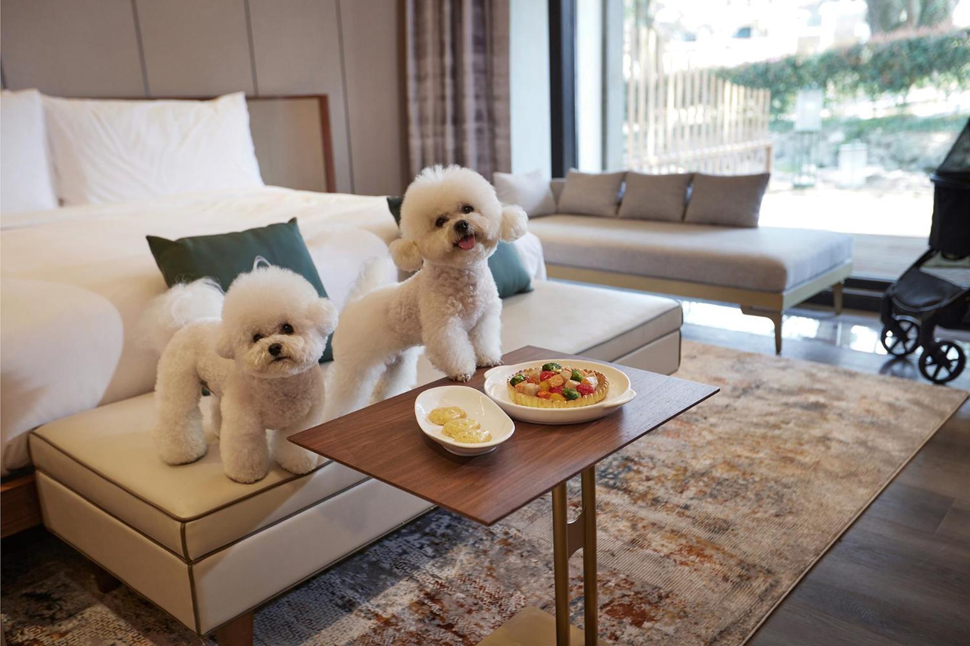 Amber Pure Hill Hotels & Resorts 済州市 エクステリア 写真