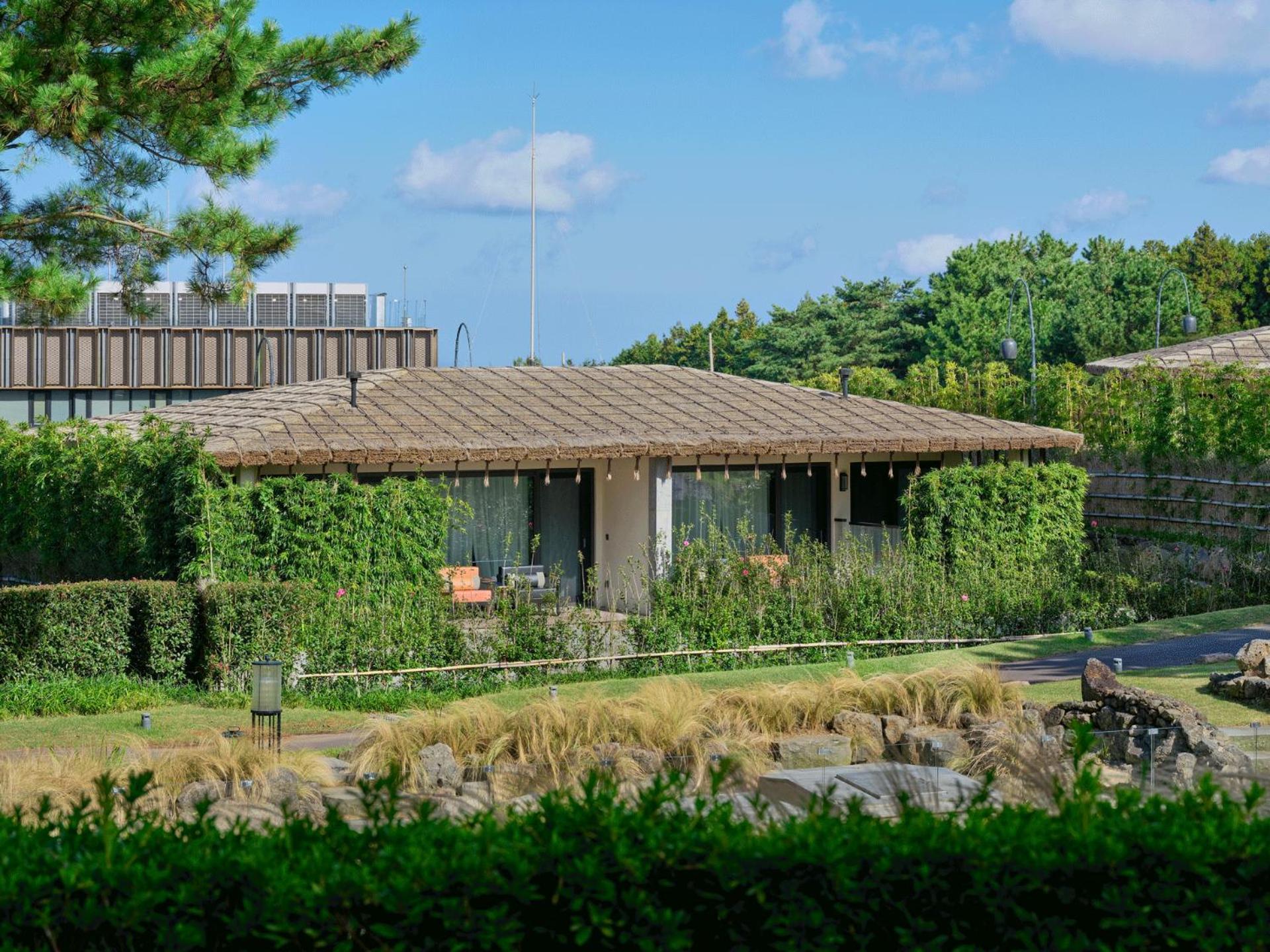 Amber Pure Hill Hotels & Resorts 済州市 エクステリア 写真
